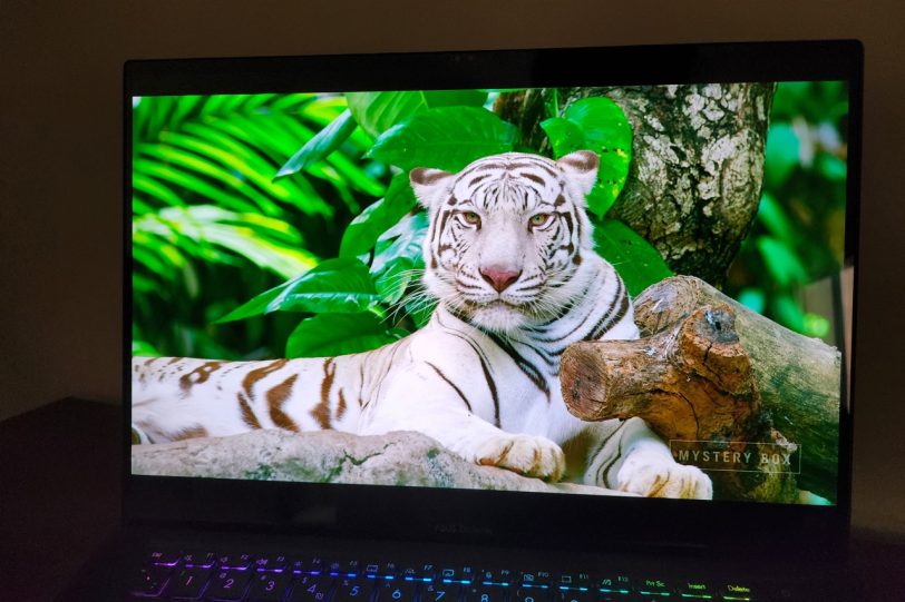 Zenbook Pro 16X – מסך ה-OLED בסביבה חשוכה (צילום: יאן לנגרמן, גאדג’טי)