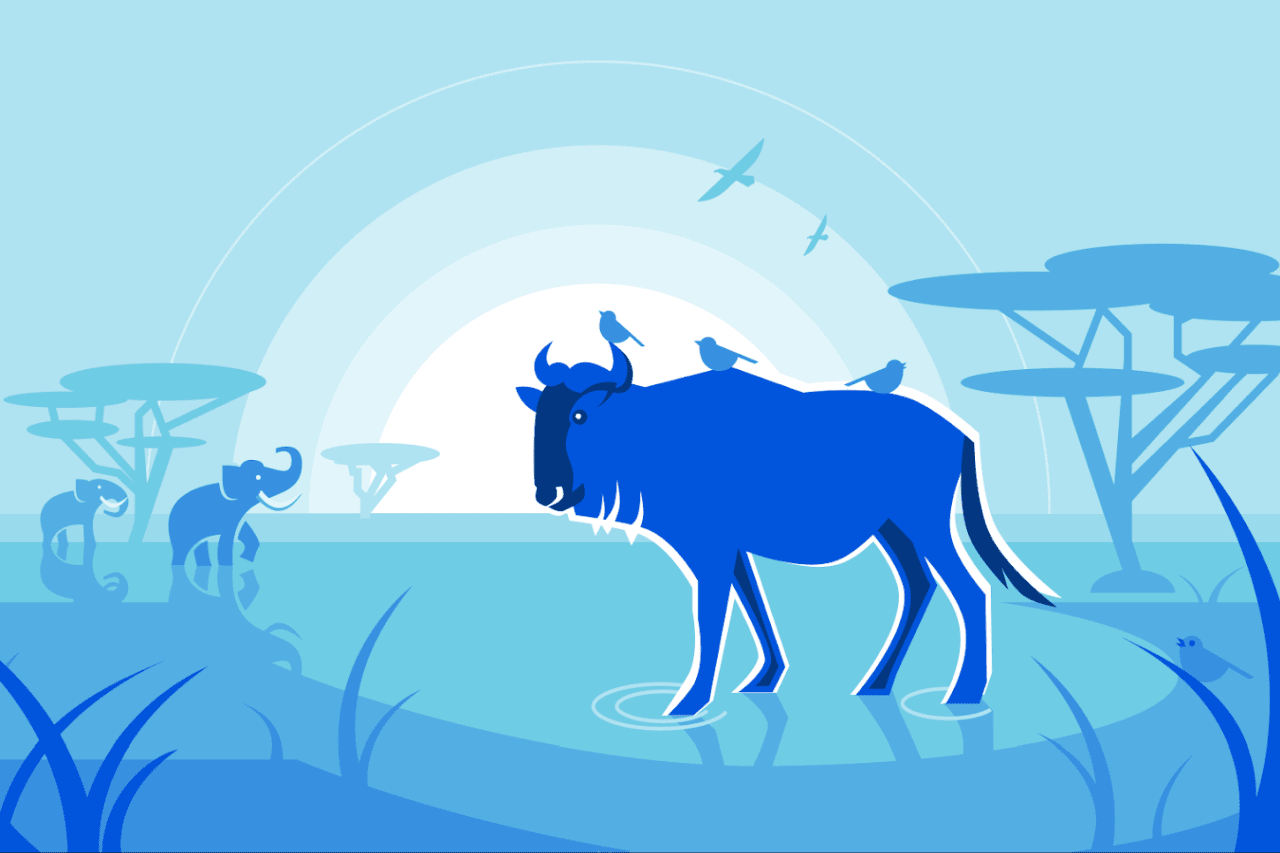 חברת CloudFlare מכריזה על Wildebeest – אפשרות חדשה ומאובטחת להקמת שרתי ...