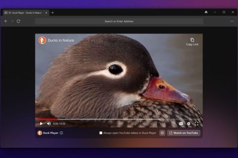 נגן ה-Duck Player בדפדפן ה-DuckDuckGo (מקור DuckDuckGo)