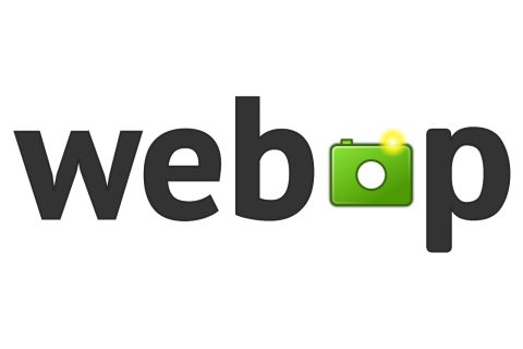 לוגו WEB P