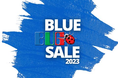 Blue Bug Sale