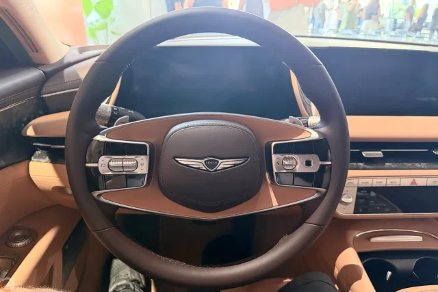 Genesis G90 (צילום: רונן מנדזיצקי)