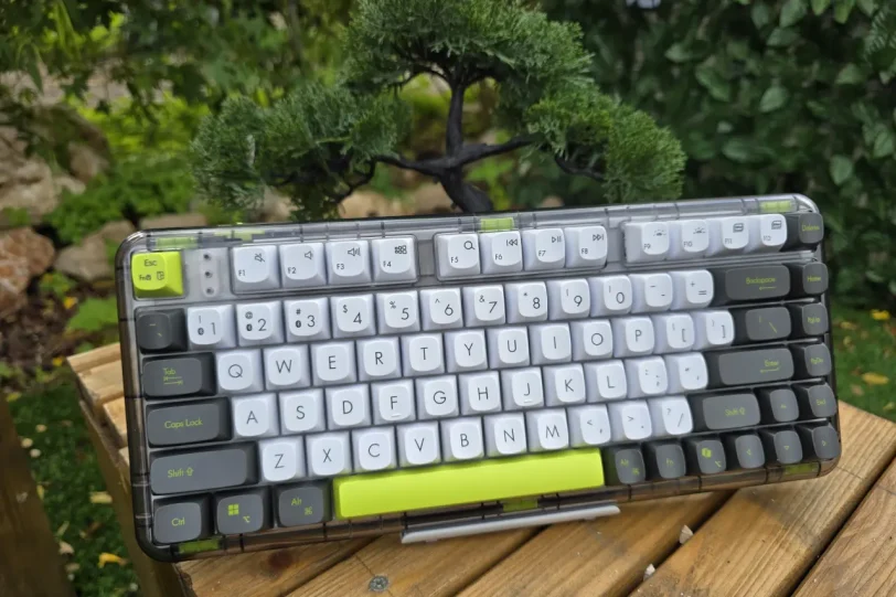 מקלדת ASUS Jelly75 Keyboard KD201 (צילום: יאן לנגרמן, גאדג'טי)