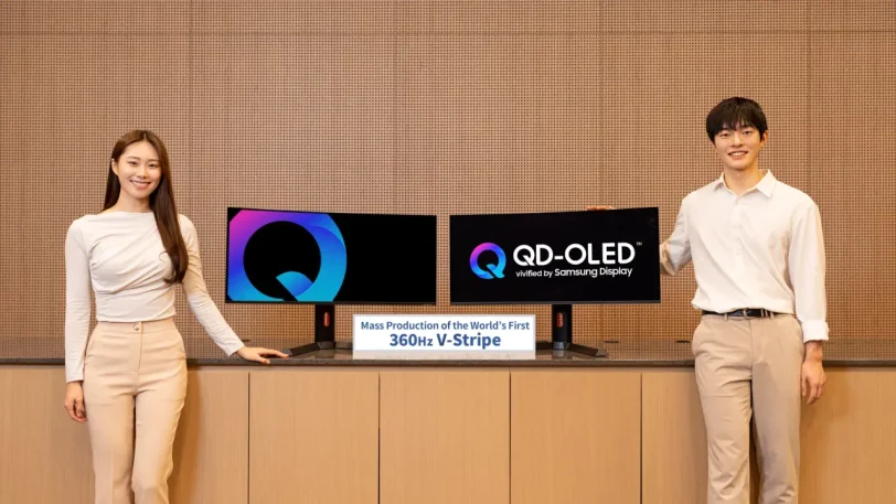 פאנל V-Stripe QD-OLED 360Hz (מקור Samsung Display)