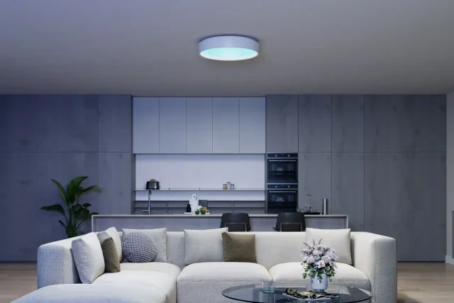Govee Sky Ceiling Light (מקור Govee)