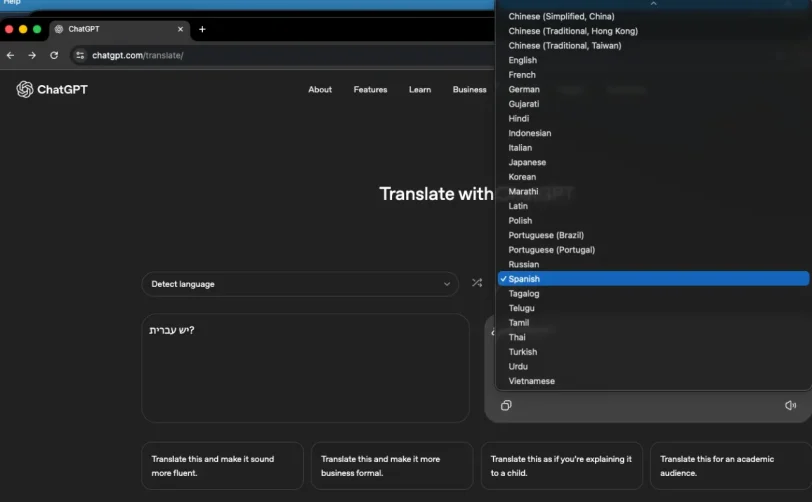 תמיכת שפות ב-ChatGPT Translate (קרדיט: OpenAI)
