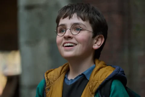 מתוך "הארי פוטר" (קרדיט: Aidan Monaghan/HBO)