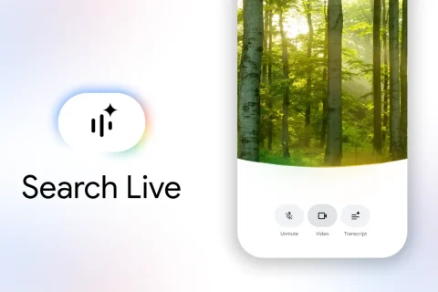 Search Live (מקור גוגל)