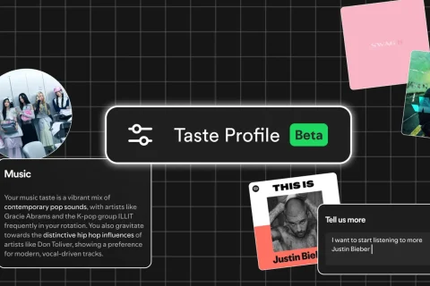 Taste Profile (מקור ספוטיפיי)