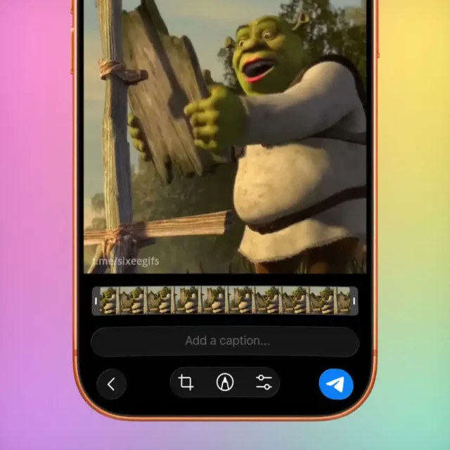 כיתוב לקובצי GIF (מקור טלגרם)