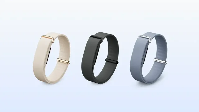 רצועת Elevated Modern Band (מקור גוגל)