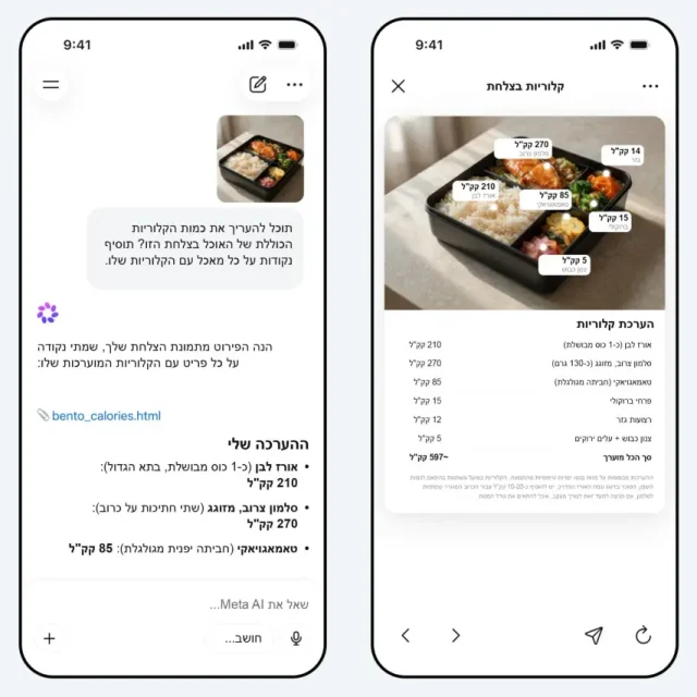 Meta AI בעברית (מקור יח"צ)