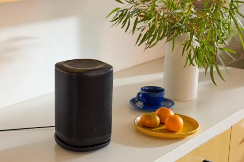 JBL Cove P1 (מקור JBL)