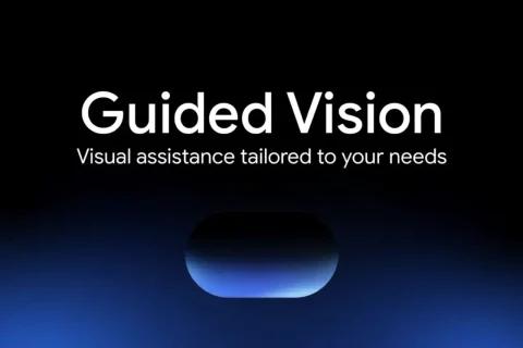 Guided Vision (מקור גוגל)